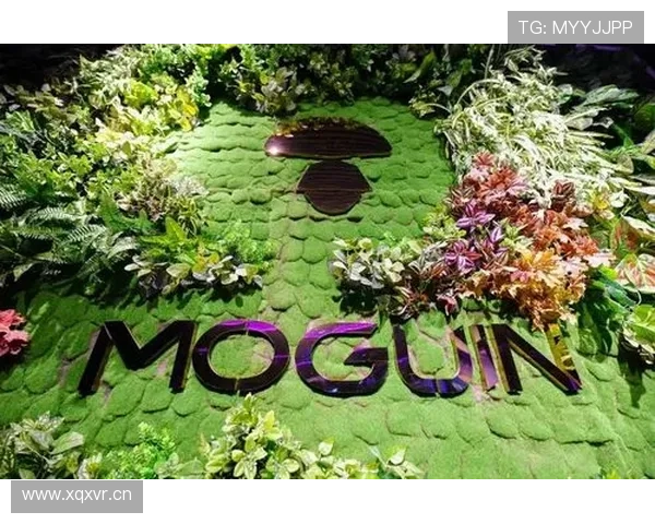 皇家娱乐：尊享奢华体验的顶级娱乐盛宴，开启尊贵人生新篇章